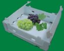 Pp Plastic Corrugated Box For Grape 